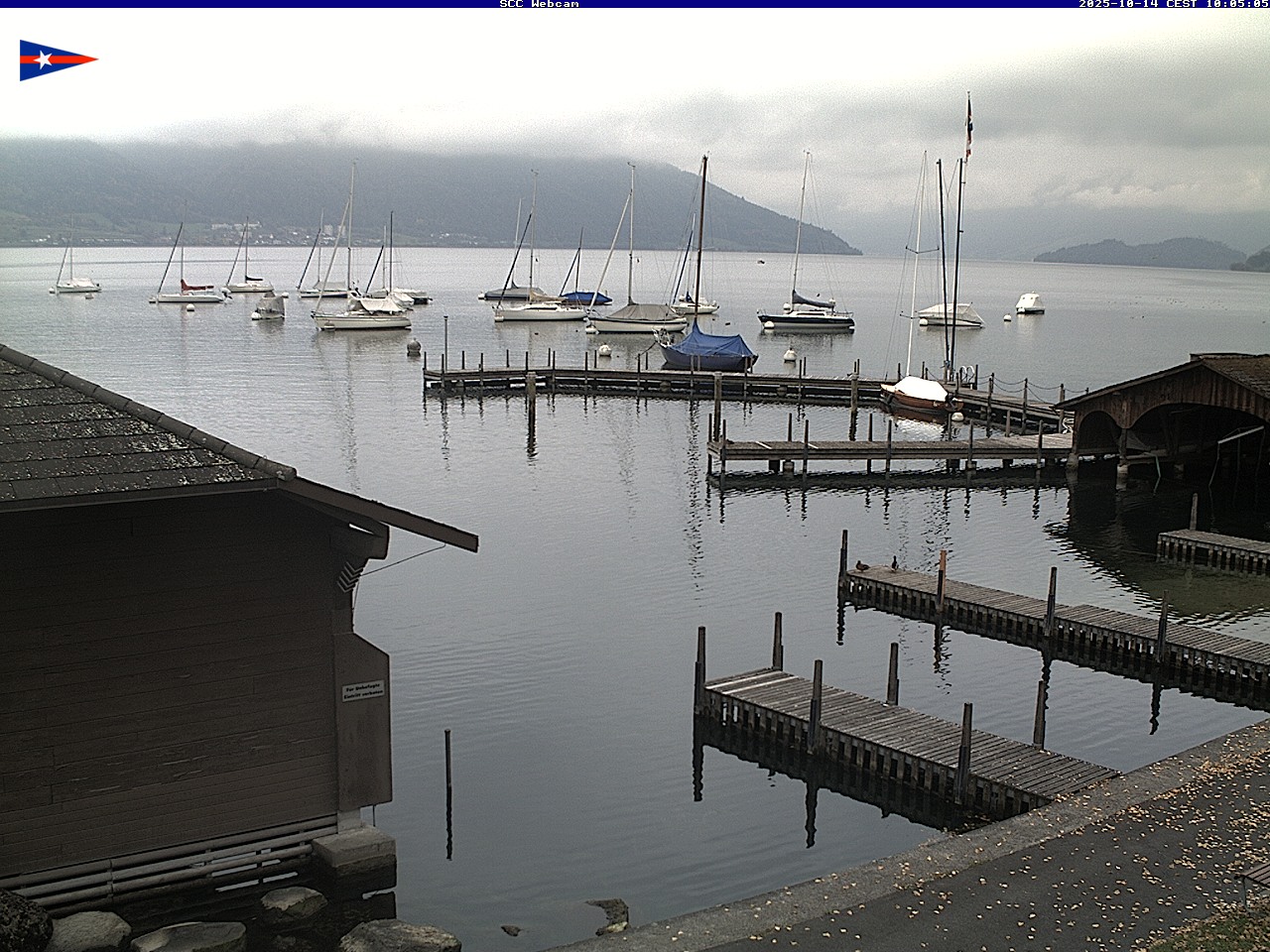 Webcam